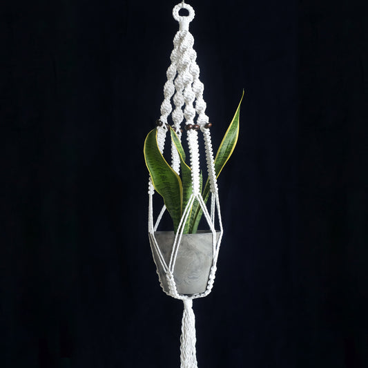 Macrame Plant Hanger: Twist & Square